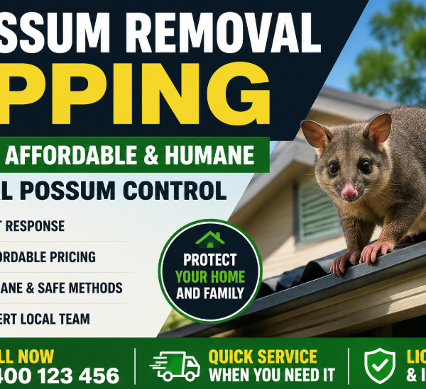 Possum Removal Epping – Fast, Affordable & Humane Local Possum Control