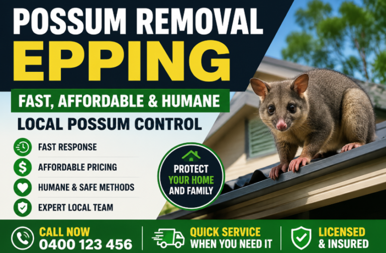 Possum Removal Epping – Fast, Affordable & Humane Local Possum Control